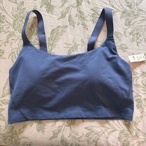 Aerie offline long line bra